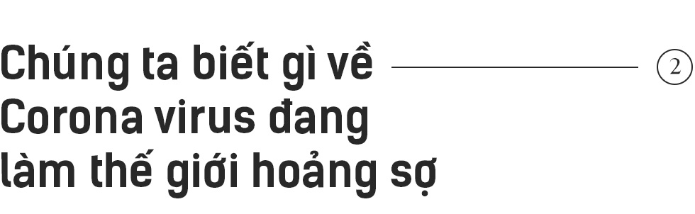 Những người tuyệt vọng ở Vũ Hán và đại dịch Corona nhìn từ đồ họa trực quan - Ảnh 6.