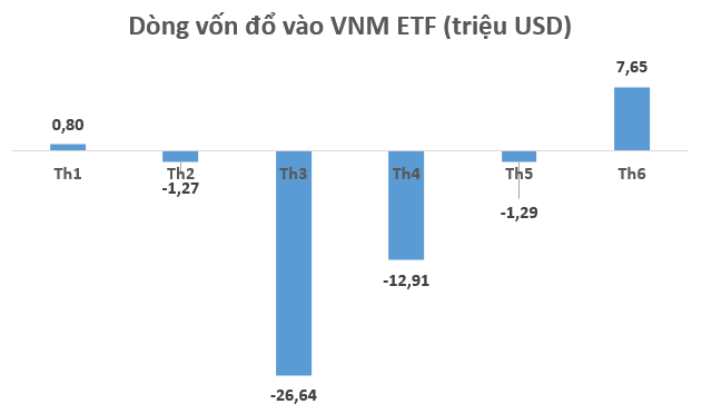 Chuyển động ETFs: VNM ETF và các quỹ ETF mới thành lập hút vốn mạnh trong tháng 6 - Ảnh 1.