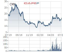 Camimex Group (CMX) thông qua phương án phát hành cổ phiếu thưởng tỷ lệ 10% - Ảnh 1.
