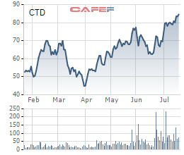 Coteccons (CTD): Doanh thu giảm sâu nhưng lãi ròng quý 2 vẫn tăng 22%, biên lãi gộp cải thiện quý thứ 5 liên tiếp - Ảnh 2.