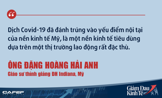 Kinh tế gia người Việt tại Mỹ: Việt Nam không nên kích cầu như các nước giàu! - Ảnh 2.