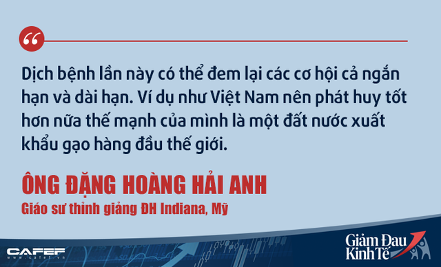 Kinh tế gia người Việt tại Mỹ: Việt Nam không nên kích cầu như các nước giàu! - Ảnh 8.