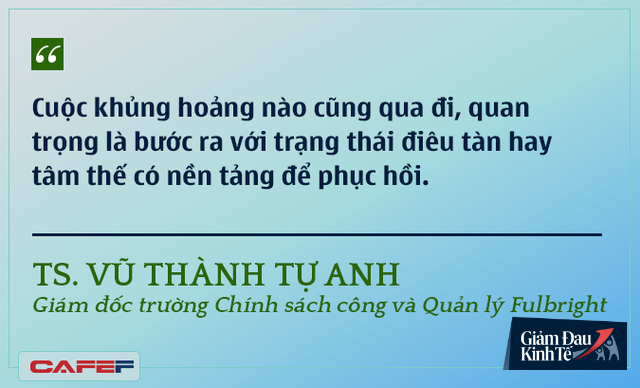 Các chuyên gia kinh tế nói gì về kinh tế Việt Nam thời dịch Covid-19? - Ảnh 6.