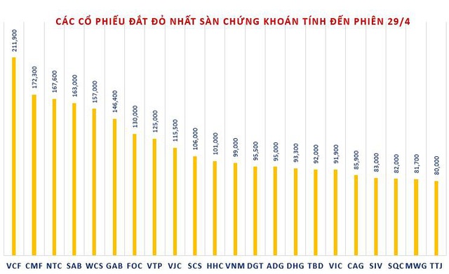 Soi lợi nhuận quý 1 của các cổ phiếu có thị giá đắt đỏ nhất sàn chứng khoán - Ảnh 2.