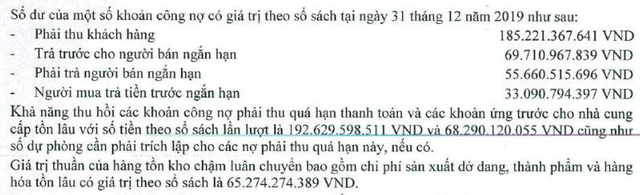 Beton 6 liên quan ông Trịnh Thanh Huy lãnh án phá sản: Vốn chủ 2019 âm hàng chục tỷ, kiểm toán từ chối đưa ra kết luận, tồn đọng hàng trăm tỷ nợ ngân hàng - Ảnh 1.