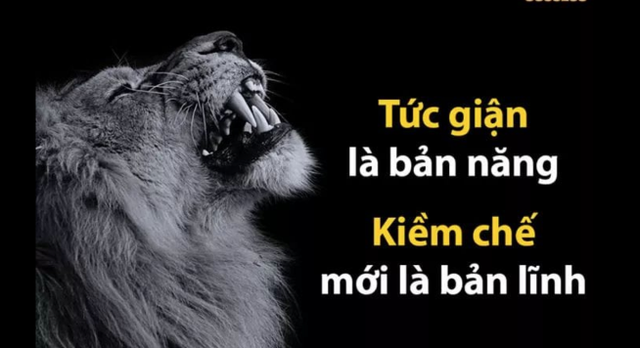 Người ưu tú rèn luyện tính cách ôn hòa như nước: Vượt qua 3 điều này bạn có thể tạo nên đẳng cấp khác biệt mà kẻ thất bại chẳng bao giờ có thể tìm thấy  - Ảnh 2.