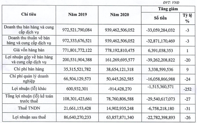 Khách hàng lớn nhất của May Sông Hồng tại Mỹ nộp đơn bảo hộ phá sản - Ảnh 4.