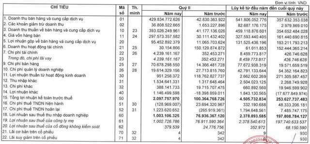 Doanh thu tăng gấp 10 lần, LDG vẫn báo lãi quý 2 giảm sâu 99% so với cùng kỳ - Ảnh 1.