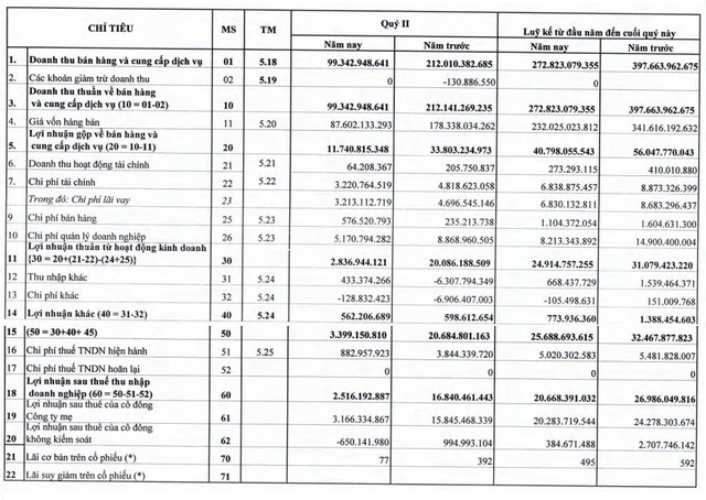 Khoáng sản FECON (FCM): Quý 2 báo lãi sụt giảm mạnh 85% so với cùng kỳ - Ảnh 1.