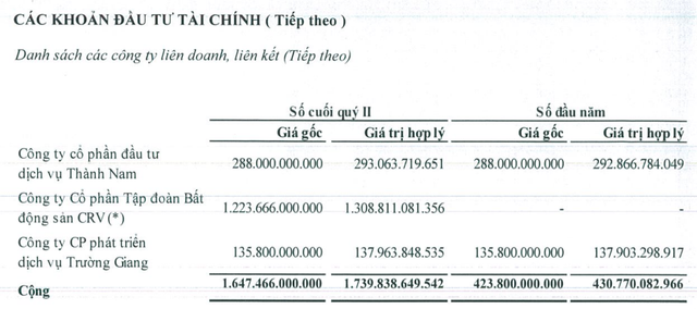 HHS: Ghi nhận lãi phát sinh từ công ty liên kết, lợi nhuận quý 2 gấp 3 lần cùng kỳ - Ảnh 3.