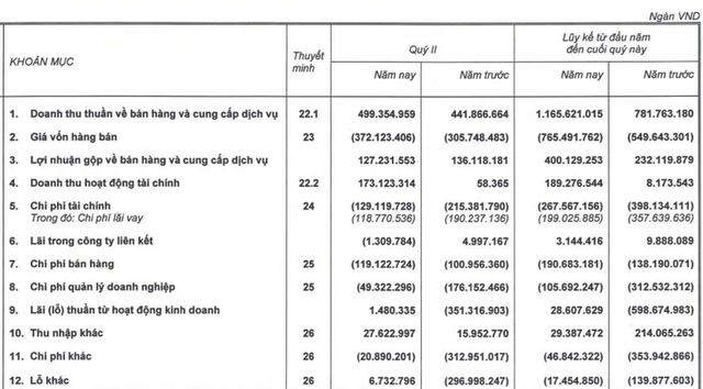 HAGL Agrico (HNG) tiếp tục báo lãi trong quý 2/2020 nhưng vẫn khá nhỏ so với kỳ vọng, điểm rơi lợi nhuận sẽ vào nửa cuối năm - Ảnh 2.