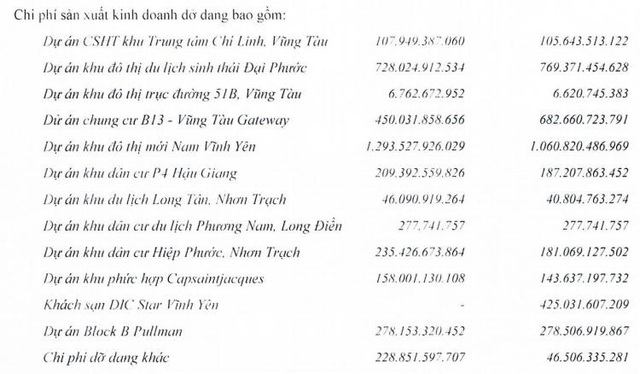 DIG: Quý 2 lãi 49 tỷ đồng, tăng 88% so với cùng kỳ - Ảnh 1.