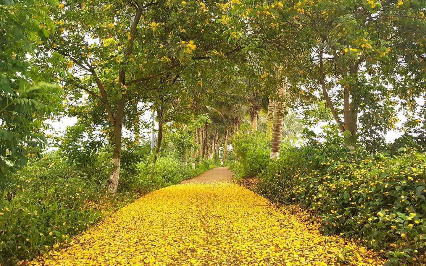 Vẻ đẹp hấp dẫn của Ecopark trong phút giao mùa