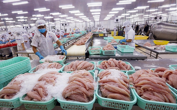 Xuất khẩu thủy sản sang Trung Quốc giảm 44% do ảnh hưởng dịch Covid-19