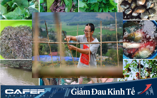 Nghỉ dạy vì Covid-19, giáo viên trường Đồi cùng nhau làm nông nghiệp, cung cấp thực phẩm sạch cho phụ huynh và cộng đồng