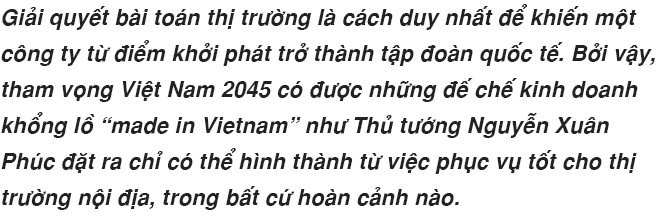 Khát vọng đế chế kinh doanh khổng lồ mang tên Việt Nam nhìn từ những giải pháp được “may đo” cho người Việt - Ảnh 1.