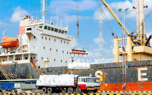 Gelex thoái vốn, VNDirect chi 200 tỷ mua lại hơn 16% Cảng Đồng Nai