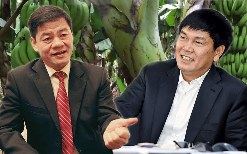 Hai ông lớn công nghiệp nặng đầu tư nông nghiệp: Hòa Phát thắng lớn với chăn nuôi, Thaco kiên trì tái cấu trúc đưa HAGL Agrico và Hùng Vương thoát lỗ
