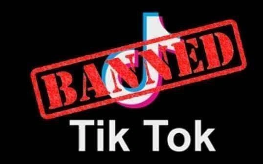 Cấm cửa TikTok, Ấn Độ tạo ra cú bùng nổ ngoài sức tưởng tượng cho các ứng dụng cây nhà lá vườn