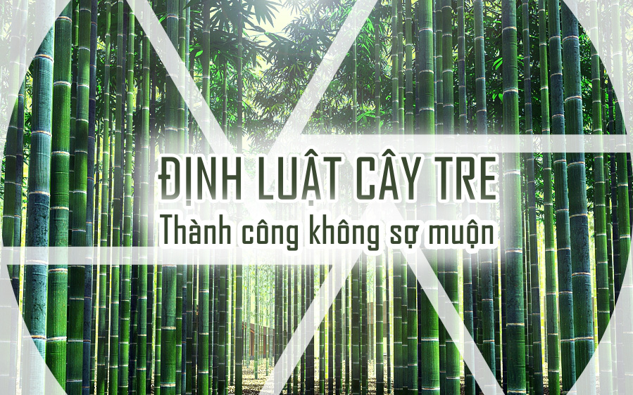 Định luật &quot;cây tre&quot; đơn giản mà 90% số đông không làm được: 10 năm &quot;giấu tài&quot; vì 1 phút phát huy