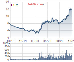 Đạm Cà Mau (DCM): Cổ phiếu tăng 85% từ đầu năm, sắp chi hơn 300 tỷ đồng trả cổ tức - Ảnh 2.