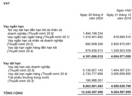 HAGL Agrico (HNG): 9 tháng lỗ ròng giảm mạnh về 339,5 tỷ, Thaco đang là chủ nợ lớn nhất với gần 2.500 tỷ, Thadi xếp thứ hai với 2.185 tỷ đồng - Ảnh 3.