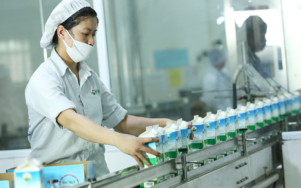 Mộc Châu Milk chào sàn Upcom với giá tham chiếu 30.000 đồng/cp