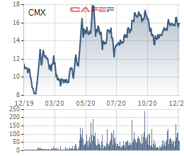 Camimex (CMX) triển khai phương án chào bán hơn 30 triệu cổ phiếu tăng vốn lên gấp đôi - Ảnh 1.