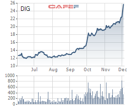 DIC Corp (DIG) chốt lãi thành công 8,26 triệu cổ phiếu quỹ với giá gấp đôi giá mua vào - Ảnh 1.