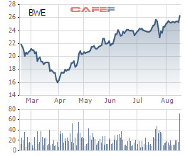 Biwase (BWE) chốt ngày đấu giá công khai 37,5 triệu cổ phiếu tăng vốn điều lệ - Ảnh 1.