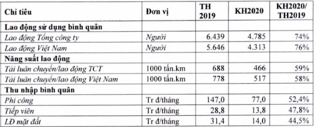 Lương phi công, tiếp viên hàng không Vietnam Airlines sẽ bị cắt giảm phân nửa trong năm 2020 - Ảnh 1.