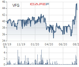 VFG tăng lên vùng đỉnh giá nhiều năm, PAN Group vẫn thông qua phương án chào mua công khai 4,8 triệu cổ phần - Ảnh 1.