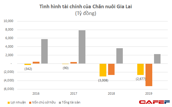 Chăn nuôi Gia Lai: Vốn chủ âm 5.300 tỷ đồng, HAGL sẽ chuyển đổi 5.866 tỷ nợ vay, phải thu sang cổ phần - Ảnh 2.