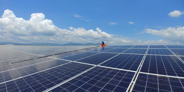 Những ông lớn đầu tư điện mặt trời ở Việt Nam có gì đặc biệt? - Ảnh 1.