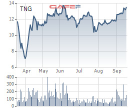 TNG dùng hơn 17 triệu cổ phiếu của lãnh đạo công ty làm tài sản đảm bảo để phát hành trái phiếu - Ảnh 1.