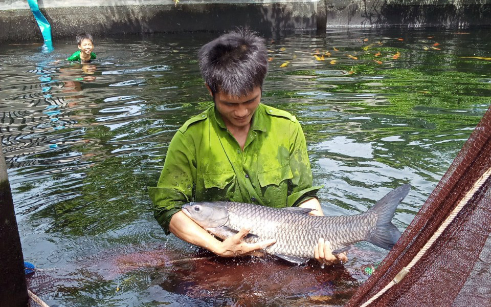 Chàng trai bỏ công việc lương cao về quê nuôi cá "khổng lồ": Không phải ai chán thành phố cũng về quê "nuôi cá và trồng thêm rau" được đâu!