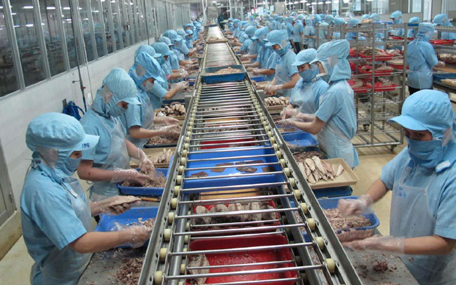 Xuất khẩu cá ngừ Việt Nam sang thị trường lớn bắt đầu khả quan