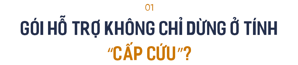 PGS.TS Trần Đình Thiên: Gói hỗ trợ không thể cứ mãi ‘bơm sữa’ tiếp tế từng ngày được nữa! - Ảnh 1.