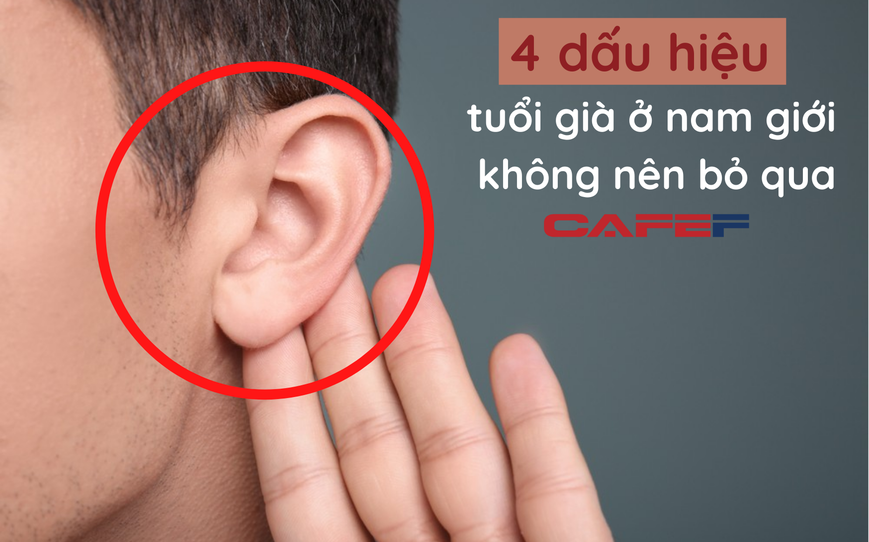 Nam giới khi già đi sẽ có 2 TO - 2 NHỎ: Nếu bạn không có thì xin chúc mừng, sức khỏe vẫn đang ở đỉnh cao