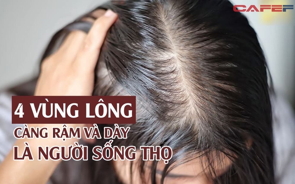 Lông 4 vùng này trên cơ thể càng dày, càng rậm thì càng sống thọ, đặc biệt là cái đầu tiên, nhưng nhiều người không biết lại tự ti vì nó