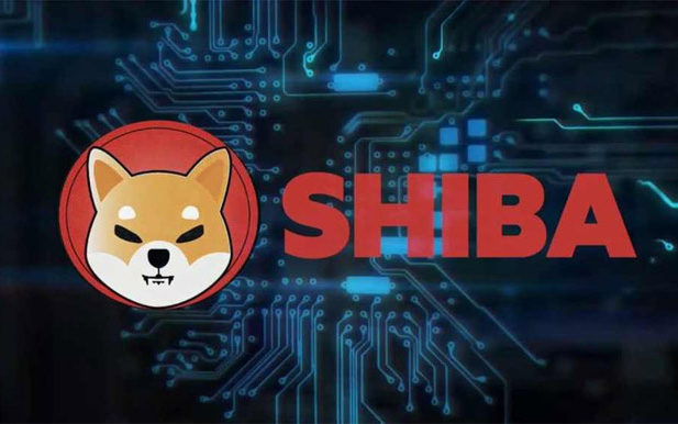 Nhà tạo lập Ethereum vẫn bị đánh thuế dù cho đi cả tỷ USD tiền số Shiba Inu