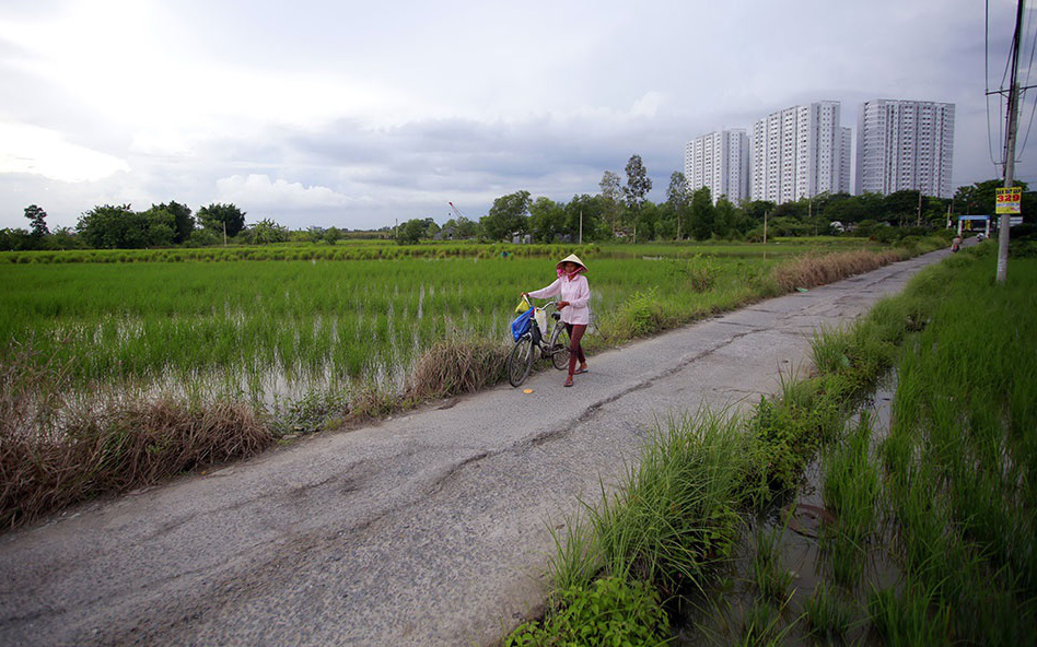 Bình Chánh chuyển hơn 1.300ha đất nông nghiệp sang phi nông nghiệp