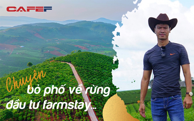 Câu chuyện “bỏ phố về rừng” đầu tư Farmstay của một đại gia Tp.HCM sở hữu 50 căn nhà vườn