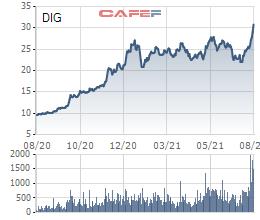 DIC Corp (DIG) chuẩn bị phát hành 15 triệu cổ phiếu ESOP với giá bằng nửa thị giá - Ảnh 1.