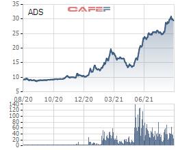 Damsan (ADS) chuẩn bị chào bán 10 triệu cổ phiếu với giá bằng 1/3 thị giá - Ảnh 1.