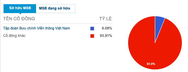 Cổ đông nước ngoài đang sở hữu 30% vốn tại MSB, là những cái tên nào? - Ảnh 1.