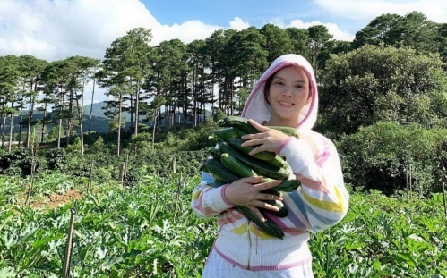 Môi giới bất động sản bị phạt nặng vì đăng tin Lý Nhã Kỳ đi săn bất động sản Đà Lạt