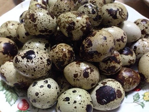 Trứng gà, trứng vịt, trứng ngỗng và cả trứng cút, loại trứng nào tốt nhất cho sức khỏe? Ai cũng từng ăn qua nhưng rất ít người Việt hiểu hết giá trị dinh dưỡng - Ảnh 3.