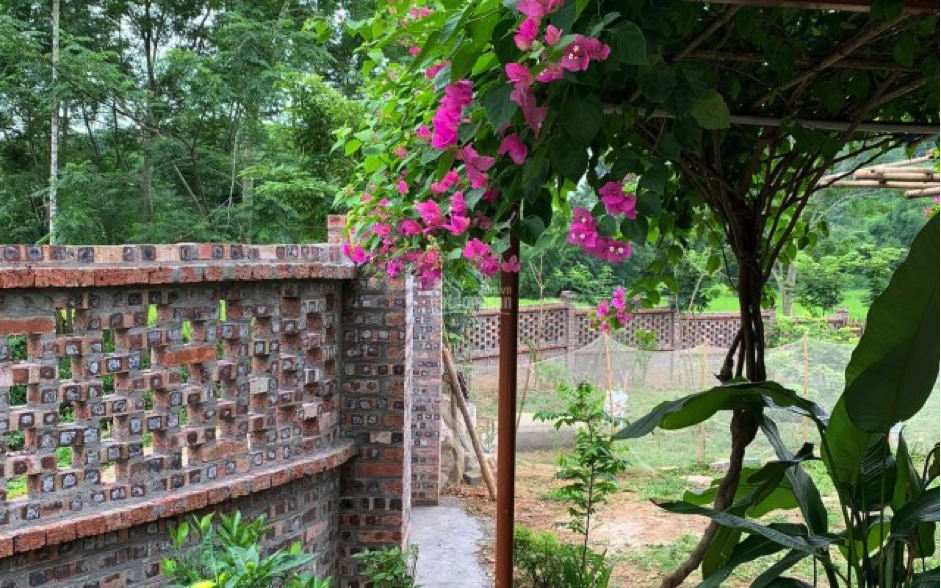 Rót hàng tỷ đồng "bỏ phố về quê" làm farmstay, nhiều người nếm "trái đắng"