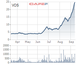 Cổ phiếu VOS bất ngờ giảm sâu sau 14 phiên tăng liên tiếp - Ảnh 1.